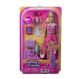 BARBIE FAMILY AND FRIENDS SET DE CALATORIE